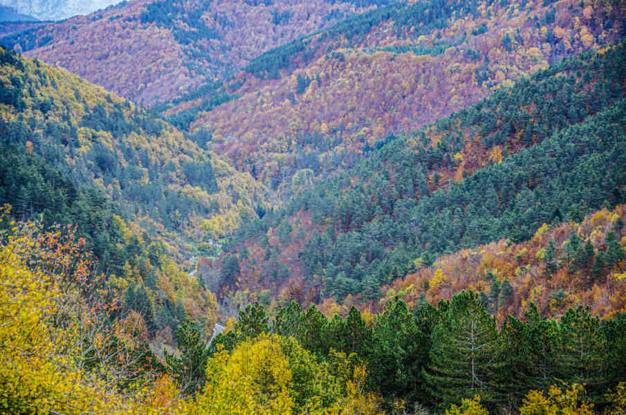 Comunidad Foral de Navarra 015 - valle de Salazar.jpg